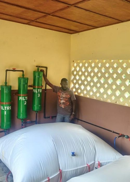Biogas Storage Bags filled with biogas and filtration system